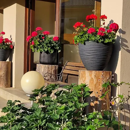 Apartamento 3 - Le Rodhodendron
